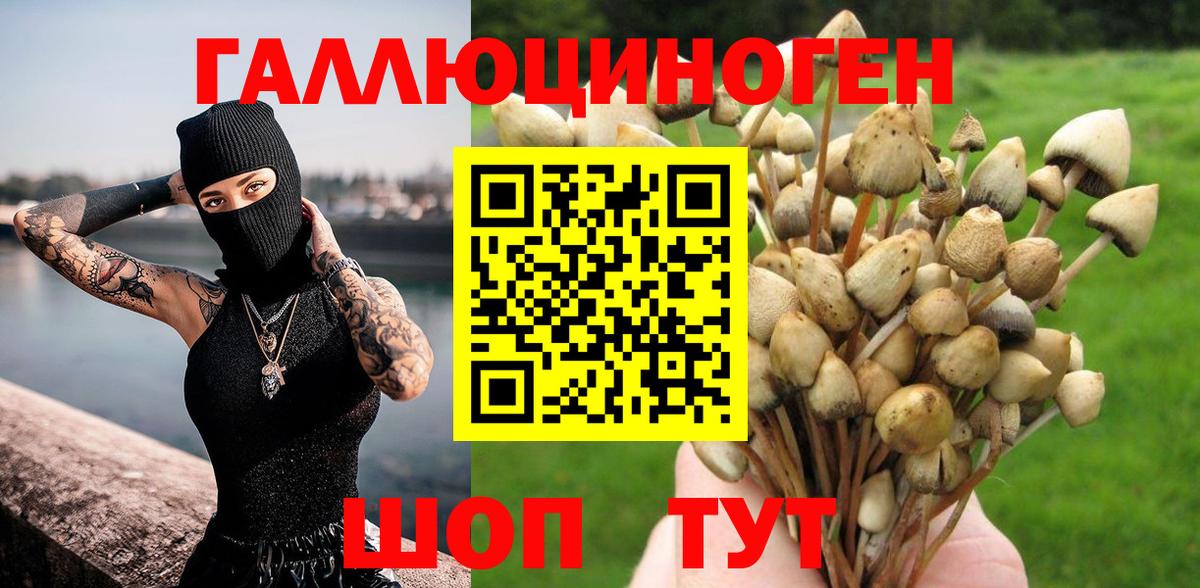 Ливны  Галлюциногенные грибы GOLDEN TEACHER  Вход с VPN 