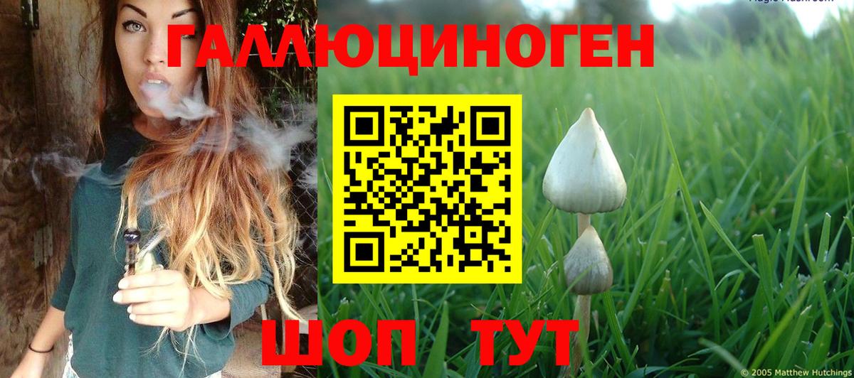 Псилоцибиновые грибы Psilocybine cubensis Ливны